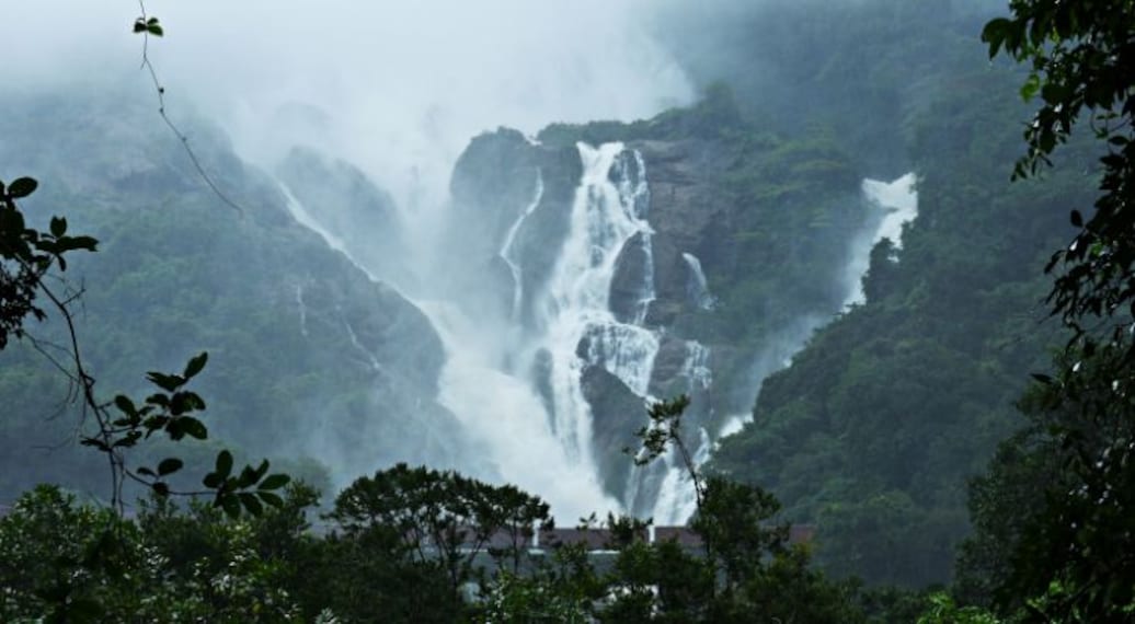 Dudhsagar Waterfalls_5